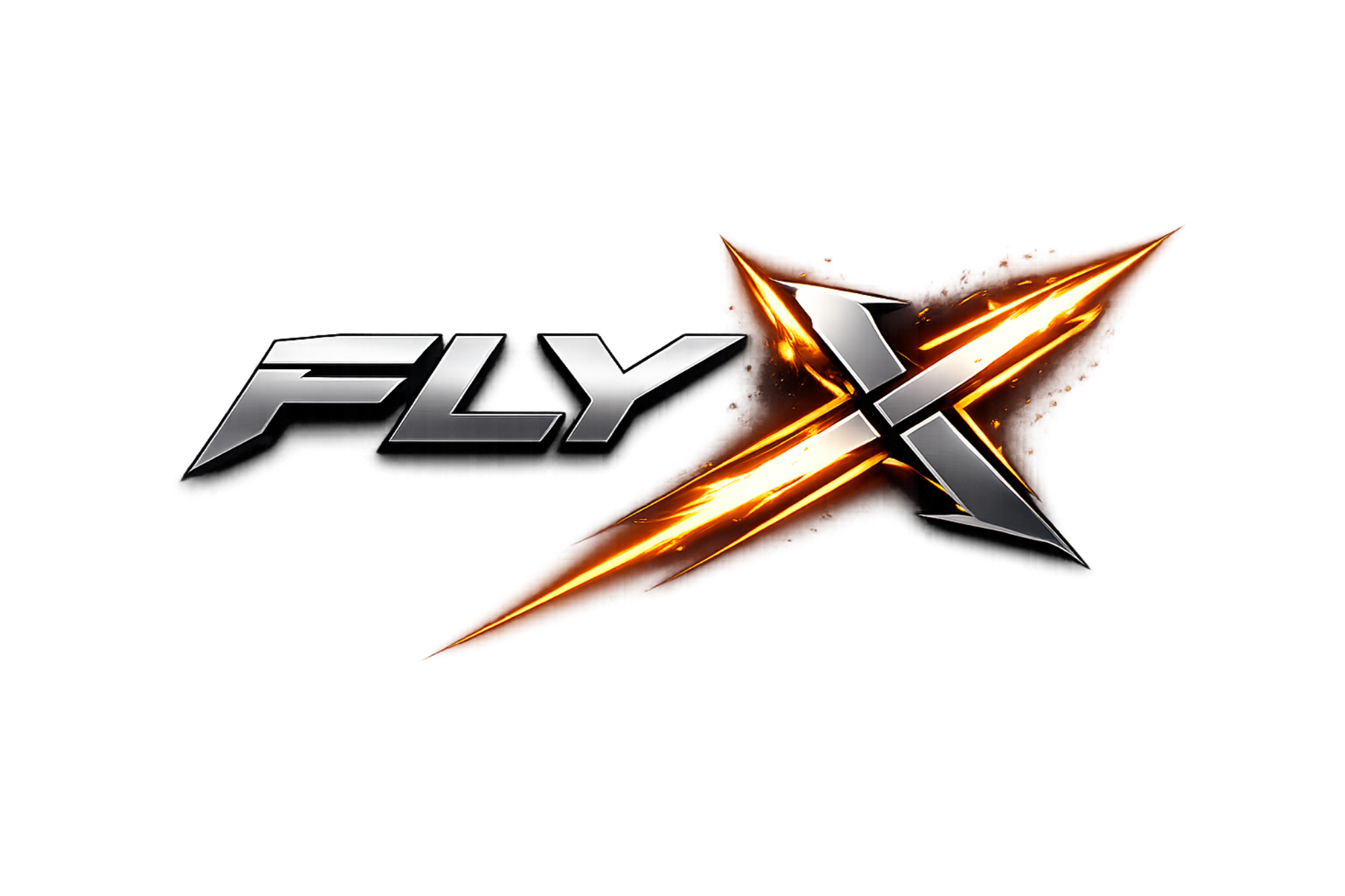 FlyX
